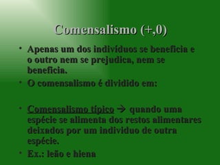 Comensalismo (+,0) Apenas um dos indivíduos se beneficia e o outro nem se prejudica, nem se beneficia. O comensalismo é dividido em: Comensalismo típico     quando uma espécie se alimenta dos restos alimentares deixados por um individuo de outra espécie. Ex.: leão e hiena 