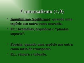 Comensalismo (+,0) Inquilinismo (epifitismo) : quando uma espécie usa outra como moradia. Ex.: bromélias, orquídeas e “plantas suporte”. Forésia : quando uma espécie usa outra como meio de transporte. Ex.: rêmora e tubarão. 