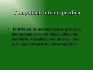 Competição intra-específica Indivíduos de mesma espécie precisam dos mesmos recursos (água, alimento, território, acasalamento) do meio. Isso gera uma competição intra-específica. 