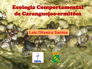 Ecologia Comportamental
   de Caranguejos-ermitões


         Laís Oliveira Santos



ECOLOGIA COMPORTAMENTAL DE
CARANGUEJOS-ERMITÕES
 