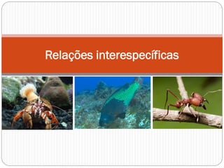 Relações interespecíficas
 