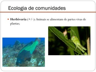  Herbivoria (+/-):Animais se alimentam de partes vivas de
plantas;
Ecologia de comunidades
 