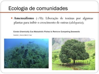  Amensalismo (-/0): Liberação de toxinas por algumas
plantas para inibir o crescimento de outras (alelopatia);
Ecologia de comunidades
 
