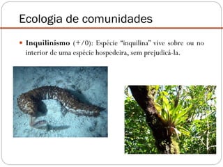  Inquilinismo (+/0): Espécie “inquilina” vive sobre ou no
interior de uma espécie hospedeira, sem prejudicá-la.
Ecologia de comunidades
 