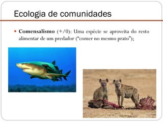  Comensalismo (+/0): Uma espécie se aproveita do resto
alimentar de um predador (“comer no mesmo prato”);
Ecologia de comunidades
 