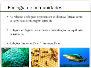  As relações ecológicas representam as diversas formas como
os seres vivos se interagem entre si;
 Relações ecológicas são cruciais a manutenção do equilíbrio
na natureza;
 Relações intraespecíficas / interespecíficas
Ecologia de comunidades
 