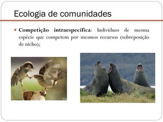  Competição intraespecífica: Indivíduos de mesma
espécie que competem por mesmos recursos (sobreposição
de nicho);
Ecologia de comunidades
 