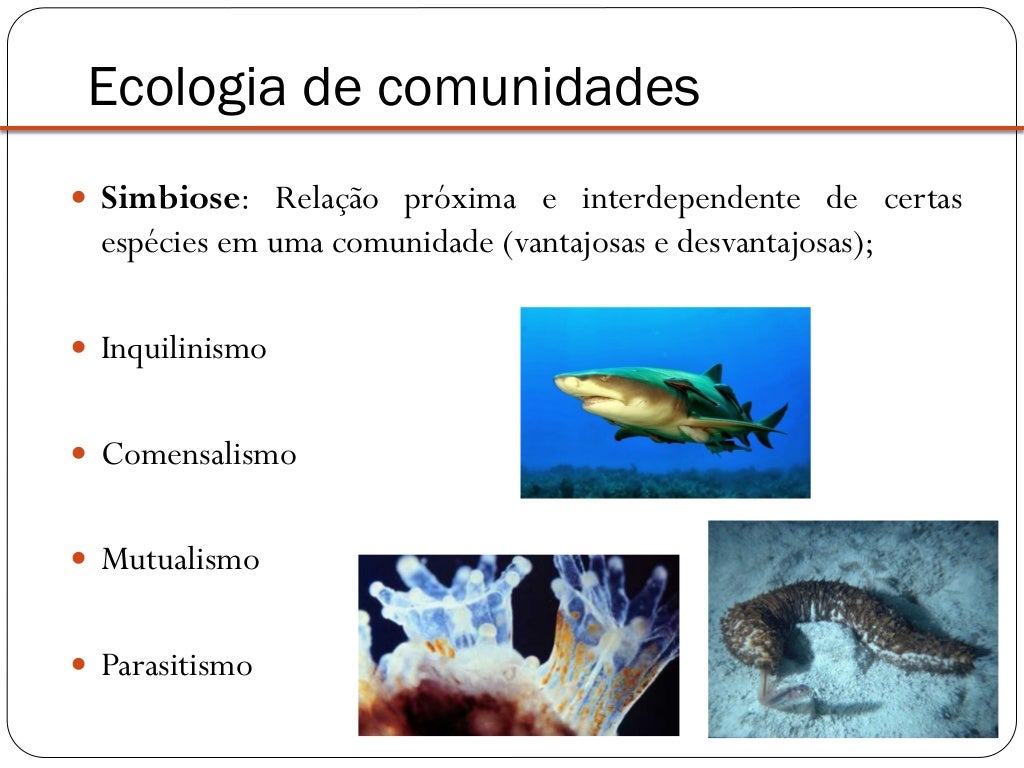 Ecologia comunidades