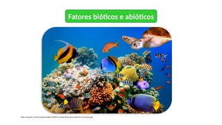 Fatores bióticos e abióticos
https://img.elo7.com.br/product/original/1BFE721/painel-festa-3x2m-fundo-do-mar-escrita.jpg
 
