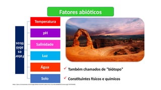 Fator
es
abió
ticos
Temperatura
pH
Salinidade
Luz
Água
Solo
 Também chamados de “biótopo”
 Constituintes físicos e químicos
https://npca.s3.amazonaws.com/images/8566/5a7c0399-3d5b-455e-97cd-40ca4bdb8296-banner.jpg?1445969608
Fatores abióticos
 