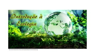 https://www.natureconnects.com/wp-content/uploads/Being-Environmental-Reasons.jpg
 