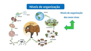 Níveis de organização
Níveis de organização
dos seres vivos
 