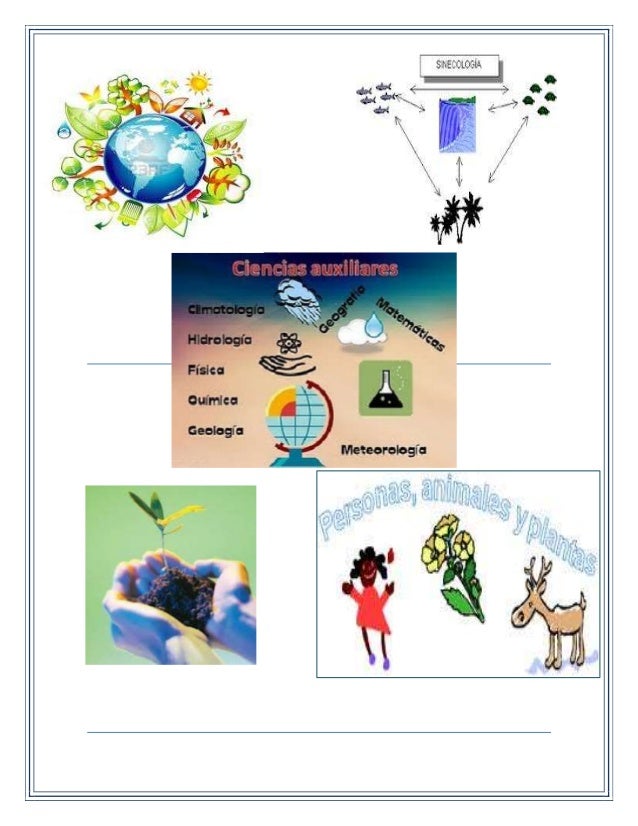 DEFINICION DE SINECOLOGIA PDF