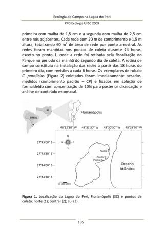 Ecologia de Campo na Lagoa do Peri
PPG Ecologia UFSC 2009
135
primeira com malha de 1,5 cm e a segunda com malha de 2,5 cm
entre nós adjacentes. Cada rede com 20 m de comprimento e 1,5 m
altura, totalizando 60 m2
de área de rede por ponto amostral. As
redes foram mantidas nos pontos de coleta durante 24 horas,
exceto no ponto 1, onde a rede foi retirada pela fiscalização do
Parque no período da manhã do segundo dia de coleta. A rotina de
campo constituiu na instalação das redes a partir das 18 horas do
primeiro dia, com revisões a cada 6 horas. Os exemplares de robalo
C. parallelus (Figura 2) coletados foram imediatamente pesados,
medidos (comprimento padrão – CP) e fixados em solução de
formaldeído com concentração de 10% para posterior dissecação e
análise de conteúdo estomacal.
Figura 1. Localização da Lagoa do Peri, Florianópolis (SC) e pontos de
coleta: norte (1); central (2); sul (3).
 