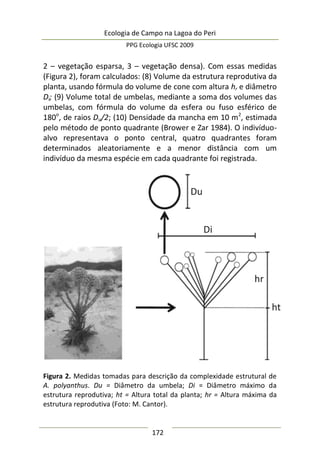 Ecologia de Campo na Lagoa do Peri
PPG Ecologia UFSC 2009
172
2 – vegetação esparsa, 3 – vegetação densa). Com essas medidas
(Figura 2), foram calculados: (8) Volume da estrutura reprodutiva da
planta, usando fórmula do volume de cone com altura hr e diâmetro
Di; (9) Volume total de umbelas, mediante a soma dos volumes das
umbelas, com fórmula do volume da esfera ou fuso esférico de
180o
, de raios Du/2; (10) Densidade da mancha em 10 m2
, estimada
pelo método de ponto quadrante (Brower e Zar 1984). O indivíduo-
alvo representava o ponto central, quatro quadrantes foram
determinados aleatoriamente e a menor distância com um
indivíduo da mesma espécie em cada quadrante foi registrada.
Figura 2. Medidas tomadas para descrição da complexidade estrutural de
A. polyanthus. Du = Diâmetro da umbela; Di = Diâmetro máximo da
estrutura reprodutiva; ht = Altura total da planta; hr = Altura máxima da
estrutura reprodutiva (Foto: M. Cantor).
 