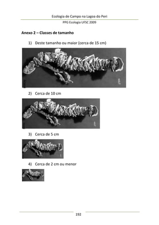 Ecologia de Campo na Lagoa do Peri
PPG Ecologia UFSC 2009
192
Anexo 2 – Classes de tamanho
1) Deste tamanho ou maior (cerca de 15 cm)
2) Cerca de 10 cm
3) Cerca de 5 cm
4) Cerca de 2 cm ou menor
 