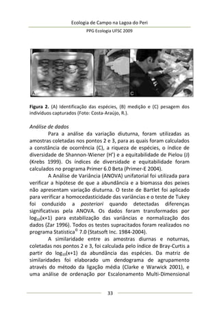 Ecologia de Campo na Lagoa do Peri
PPG Ecologia UFSC 2009
33
Figura 2. (A) Identificação das espécies, (B) medição e (C) pesagem dos
indivíduos capturados (Foto: Costa-Araújo, R.).
Análise de dados
Para a análise da variação diuturna, foram utilizadas as
amostras coletadas nos pontos 2 e 3, para as quais foram calculados
a constância de ocorrência (C), a riqueza de espécies, o índice de
diversidade de Shannon-Wiener (H’) e a equitabilidade de Pielou (J)
(Krebs 1999). Os índices de diversidade e equitabilidade foram
calculados no programa Primer 6.0 Beta (Primer-E 2004).
A Análise de Variância (ANOVA) unifatorial foi utilizada para
verificar a hipótese de que a abundância e a biomassa dos peixes
não apresentam variação diuturna. O teste de Bartlet foi aplicado
para verificar a homocedasticidade das variâncias e o teste de Tukey
foi conduzido a posteriori quando detectadas diferenças
significativas pela ANOVA. Os dados foram transformados por
log10(x+1) para estabilização das variâncias e normalização dos
dados (Zar 1996). Todos os testes supracitados foram realizados no
programa Statistica©
7.0 (Statsoft Inc. 1984-2004).
A similaridade entre as amostras diurnas e noturnas,
coletadas nos pontos 2 e 3, foi calculada pelo índice de Bray-Curtis a
partir do log10(x+1) da abundância das espécies. Da matriz de
similaridades foi elaborado um dendograma de agrupamento
através do método da ligação média (Clarke e Warwick 2001), e
uma análise de ordenação por Escalonamento Multi-Dimensional
 