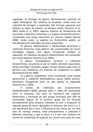 Ecologia de Campo na Lagoa do Peri
PPG Ecologia UFSC 2009
60
vegetação. As formigas do gênero Myrmelachista, exclusivo da
região Neotropical, são coletoras de exudados, tendo como seu
substrato de forrageio a vegetação. São formigas pequenas que
habitam as copas de árvores, em bosques baixos (Silvestre et al.
2003, Godoi et al. 2007). Algumas espécies de Paratrechina são
associadas a distúrbios ambientais e a espécie Paratrechina fulva é
considerada uma praga importante em diversas regiões (Cereto
2008). Sendo assim, as espécies de Paratrechina podem ser
bioindicadoras de alterações nas áreas amostradas.
Os gêneros Odontomachus e Pachycondyla pertencem à
subfamília Ponerinae. Esses gêneros são caracterizados por serem
necrófagos, epígeos, com alguns forrageando também na
vegetação. Os indivíduos do gênero Odontomachus são conhecidos
por serem solitários (Silvestre et al. 2003).
O gênero Gnamptogenys pertence à subfamília
Ectatomminae. Caracteriza-se por ter hábito alimentar especialista,
sendo necrófago e predador, epígeo. Ocupa o décimo lugar entre os
gêneros mais freqüentes em amostras de serapilheira na região
Neotropical (Cereto 2008).
Já o gênero Linepithema, único encontrado neste estudo
pertencente à subfamília Dolichoderinae, possui hábito onívoro-
detritívoro, forrageando tanto no solo quanto na vegetação
(Silvestre et al. 2003).
A análise de ordenação por Escalonamento
Multidimensional (MDS) aplicada sobre a matriz de similaridade
entre as amostras, com base na ocorrência das espécies,
demonstrou a formação de dois grupos principais com 20% de
similaridade (Figura 3). O primeiro grupo (A) foi formado
principalmente pelas amostras coletadas na área 1, enquanto no
segundo grupo (B) foram agrupadas as amostras das áreas 2 e 3.
Isso demonstra que a área 1 diferencia-se das outras por ser uma
área de restinga arbórea, onde principalmente o substrato é
diferente (arenoso), e que as áreas 2 e 3 são mais similares em
termos de composição de espécies, por serem duas áreas de mata
 