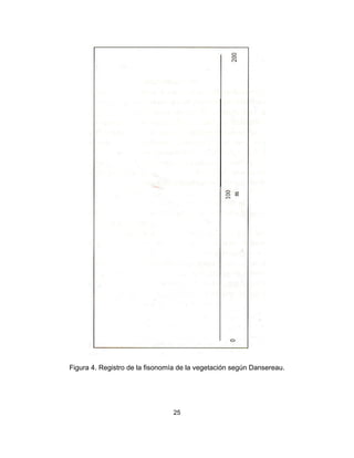 25
Figura 4. Registro de la fisonomía de la vegetación según Dansereau.
 