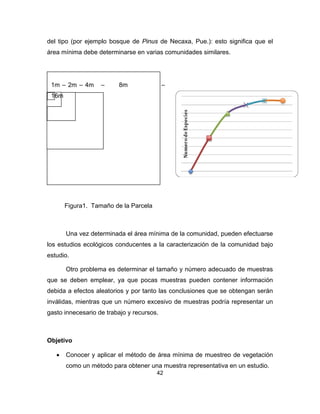 42
del tipo (por ejemplo bosque de Pinus de Necaxa, Pue.): esto significa que el
área mínima debe determinarse en varias comunidades similares.
Figura1. Tamaño de la Parcela
Una vez determinada el área mínima de la comunidad, pueden efectuarse
los estudios ecológicos conducentes a la caracterización de la comunidad bajo
estudio.
Otro problema es determinar el tamaño y número adecuado de muestras
que se deben emplear, ya que pocas muestras pueden contener información
debida a efectos aleatorios y por tanto las conclusiones que se obtengan serán
inválidas, mientras que un número excesivo de muestras podría representar un
gasto innecesario de trabajo y recursos.
Objetivo
• Conocer y aplicar el método de área mínima de muestreo de vegetación
como un método para obtener una muestra representativa en un estudio.
1m – 2m – 4m – 8m –
16m
 
