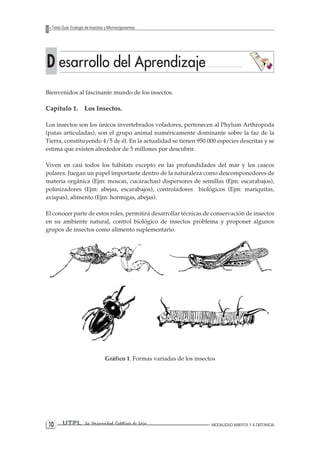 10 UTPL La Universidad Católica de Loja MODALIDAD ABIERTA Y A DISTANCIA 
Texto Guía: Ecología de Insectos y Microorganismos 
D esarrollo del Aprendizaje 
Bienvenidos al fascinante mundo de los insectos. 
Capítulo 1. Los Insectos. 
Los insectos son los únicos invertebrados voladores, pertenecen al Phylum Arthropoda (patas articuladas), son el grupo animal numéricamente dominante sobre la faz de la Tierra, constituyendo 4/5 de él. En la actualidad se tienen 950 000 especies descritas y se estima que existen alrededor de 5 millones por descubrir. 
Viven en casi todos los hábitats excepto en las profundidades del mar y los cascos polares. Juegan un papel importante dentro de la naturaleza como descomponedores de materia orgánica (Ejm: moscas, cucarachas) dispersores de semillas (Ejm: escarabajos), polinizadores (Ejm: abejas, escarabajos), controladores biológicos (Ejm: mariquitas, avispas), alimento (Ejm: hormigas, abejas). 
El conocer parte de estos roles, permitirá desarrollar técnicas de conservación de insectos en su ambiente natural, control biológico de insectos problema y proponer algunos grupos de insectos como alimento suplementario. 
Gráfico 1. Formas variadas de los insectos  