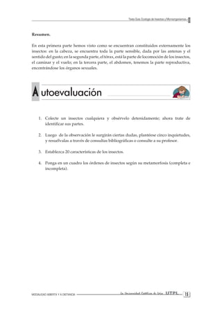 MODALIDAD ABIERTA Y A DISTANCIA La Universidad Católica de Loja UTPL 15 
Texto Guía: Ecología de Insectos y Microorganismos 
A utoevaluación 
Resumen. 
En esta primera parte hemos visto como se encuentran constituidos externamente los insectos: en la cabeza, se encuentra toda la parte sensible, dada por las antenas y el sentido del gusto; en la segunda parte, el tórax, está la parte de locomoción de los insectos, el caminar y el vuelo; en la tercera parte, el abdomen, tenemos la parte reproductiva, encontrándose los órganos sexuales. 
1. Colecte un insectos cualquiera y obsérvelo detenidamente; ahora trate de identificar sus partes. 
2. Luego de la observación le surgirán ciertas dudas, plantéese cinco inquietudes, y resuélvalas a través de consultas bibliográficas o consulte a su profesor. 
3. Establezca 20 características de los insectos. 
4. Ponga en un cuadro los órdenes de insectos según su metamorfosis (completa e incompleta).  
