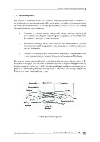 MODALIDAD ABIERTA Y A DISTANCIA La Universidad Católica de Loja UTPL 17 
Texto Guía: Ecología de Insectos y Microorganismos 
2.2. Sistema Digestivo. 
Los insectos se alimentan de casi toda sustancia orgánica encontrada en la naturaleza y su sistema digestivo presenta considerables variaciones, pero todos tienen características en común. El canal alimenticio es un tubo que se extiende desde la cavidad oral hasta el ano, existiendo tres partes diferentes: 
1. Estomodeo o estómago anterior, comprende faringe, esófago, buche y el proventrículo; en esta parte se realiza parte del proceso de desdoblamiento del alimento y se regula el paso del mismo. 
2. Mesenterón o estómago medio, tiene forma de una bolsa cubierta por una membrana permeable que permite el paso de enzimas y productos digestivos para ser absorbidos. 
3. Proctodeo o estómago posterior, se inicia en el mesenterón y se prolonga hasta el ano, las paredes están cubiertas de una membrana permeable al agua. 
Los insectos poseen una modificación en su sistema digestivo que esta dada a través de los Tubos de Malpighi, que son tubos excretores los cuales se originan en el proctodeo su función principal es absorber el ácido úrico producido por las células corporales que se presentan en la sangre para luego descargarlo en el interior de éste, y luego ser forzado hacia el proctodeo y evacuado por el ano. 
Gráfico 12. Sistema digestivo  