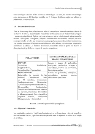 MODALIDAD ABIERTA Y A DISTANCIA La Universidad Católica de Loja UTPL 37 
Texto Guía: Ecología de Insectos y Microorganismos 
como enemigos naturales de los insectos o entomófagos. De éstos, los insectos entomófagos están agrupados en 200 familias incluidas en 15 órdenes, divididos según sus hábitos en parasitoides y depredadores. 
5.2. Insectos Parasitoides. 
Éstos se alimentan y desarrollan dentro o sobre el cuerpo de un insecto hospedero o dentro de los huevos de éste. La mayoría de los parasitoides pertenecen al orden Hymenoptera (avispas) y a unas pocas familias de Diptera, y se caracterizan por atacar principalmente a insectos de los órdenes Lepidoptera, Homoptera y Diptera. Presentan una metamorfosis completa, es decir, pasan por estados larvales que incluyen un estado pupal y sus alas se desarrollan internamente. Los estados inmaduros o larvas son muy diferentes a los adultos en: estructura, necesidades alimenticias y hábitat. Las hembras de muchos parasitoides antes de poner sus huevos se alimentan de néctar de flores, polen o de insectos hospederos. 
PARASITOIDES 
NOMBRES COMUNES DE LAS PLAGAS PARASITADAS 
DIPTERA 
Tachinidae, Bombillidae, Cryptochetidae, 
Sarcophagidae, Pipunculidae 
Larvas y pupas de palomillas, mariposas, chicharritas, avispas y escarabajos, huevos de chapulines, langostas y arañas. 
HYMENOPTERA 
Bethyloidea (la mayoría de las familias) Chalcidoidea (mas de 30 familias), incluyendo: Trichogammatidae, Mymaridae, Aphelinidae, Eupelmidae, Encirtidae, Pteromalidae, Spalangiidae, Torymidae Ichneumonoidea, (cientos de especies, incluyendo Braconidae e Ichneumonidae). Procíotrupoidea (algunas familias, incluyendo Platygasteridae y Scelonidae) 
Larvas de palomillas, mariposas, escarabajos, avispas, moscas, chicharritas y escamas 
Cuadro 2. Insectos parasitoides y sus presas. 
5.2.1. Tipos de Parasitoides. 
Los parasitoides pueden ser clasificados basándose en su modo de ataque y tipo de hospedero, muchas hembras «pican» y paralizan a sus hospederos antes de depositar su huevo en el cuerpo de la víctima.  