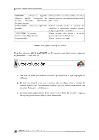 40 UTPL La Universidad Católica de Loja MODALIDAD ABIERTA Y A DISTANCIA 
Texto Guía: Ecología de Insectos y Microorganismos 
HEMIPTERA Anthocoridae, Lygaeidae (Geocoris), Nabidae, Pentatomidae, Re- duviidae, Ntonectidae, Belostomatidae Corixidae, Gerridae. 
Diversos estados de desarrollo de áfidos, chicharritas escamas, mosquitas blancas palomillas, escarabajo, trips y ácaros 
HYMENOPTERA Formicoidea, Sphecoidea Vespoidea. 
Incluyen diferentes estados de desarrollo de: chapulines o saltamontes, chinches, moscas, mariposas, palomillas y escarabajos. 
NEUROPTERA Chrysopidae, Hemerobyiidae, Myrineliontidae, Coniopterygoidea. 
Áfidos, escamas, trips, huevos y larvas de palomitas y mariposas, trips, moscas 
blancas e insectos en el suelo. 
Cuadro 5. Los depredadores y sus presas. 
Nota: (Los arácnidos ACARI Y ARANEAE son depredadores y en algunos casos plagas que no pertenecen a la clase insecta). 
1. Qué insectos tienen aparato bucal masticador y succionador; ponga 10 ejemplos de cada uno. 
2. En una zona natural en su casa o fuera de ella, investigue sobre la relación de insectos depredadores versus insectos problema (plagas); para ello debe realizar una colección de insectos e identificarlos. 
3. Cómo se realiza el parasitismo de un himenóptero y de un díptero sobre su presa, explique el procedimiento y los tipos de parasitismo. A utoevaluación  