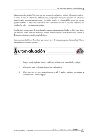 MODALIDAD ABIERTA Y A DISTANCIA La Universidad Católica de Loja UTPL 43 
Texto Guía: Ecología de Insectos y Microorganismos 
Mosquitos de las familia Culicidae, que son vectores de parbovirus, malaria (Plasmodium malariae, P. vivax, P. ovale, P. falciparum), fiebre amarilla, dengue ( los mosquitos vectores son altamente susceptibles a temperaturas extremas y no rinden mucho en climas cálidos secos, los huevos pueden soportar la desecación durante un año) y encefalitis virales de los seres humanos; sus estadios larvales y pupales son acuáticos. 
Los tábanos son moscos de gran tamaño, causan picaduras profundas y dolorosas, tanto en animales como en el ser humano; además son vectores de protozoarios que causan la Tripanosomiasis en mamíferos y helmintos. 
La mosca común (Musca domestica) que son vectores de patógenos como Salmonela y Cólera; habitan en excremento y basura. 
1. Ponga un ejemplo de control biológico realizado en su ciudad, explique. 
2. Que otros usos podemos obtener de los insectos. 
3. Que insectos vectores encontramos en el Ecuador, indique sus daños y distribución a nivel del país. A utoevaluación  