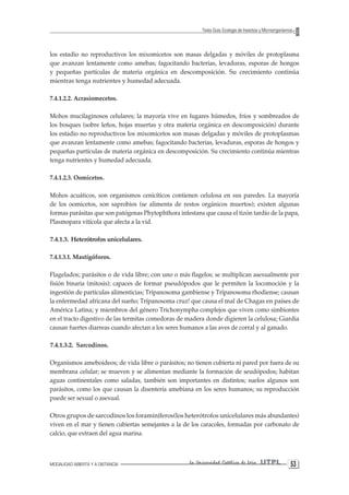 MODALIDAD ABIERTA Y A DISTANCIA La Universidad Católica de Loja UTPL 53 
Texto Guía: Ecología de Insectos y Microorganismos 
los estadio no reproductivos los mixomicetos son masas delgadas y móviles de protoplasma que avanzan lentamente como amebas; fagocitando bacterias, levaduras, esporas de hongos y pequeñas partículas de materia orgánica en descomposición. Su crecimiento continúa mientras tenga nutrientes y humedad adecuada. 
7.4.1.2.2. Acrasiomecetos. 
Mohos mucilaginosos celulares; la mayoría vive en lugares húmedos, fríos y sombreados de los bosques (sobre leños, hojas muertas y otra materia orgánica en descomposición) durante los estadio no reproductivos los mixomicetos son masas delgadas y móviles de protoplasmas que avanzan lentamente como amebas; fagocitando bacterias, levaduras, esporas de hongos y pequeñas partículas de materia orgánica en descomposición. Su crecimiento continúa mientras tenga nutrientes y humedad adecuada. 
7.4.1.2.3. Oomicetos. 
Mohos acuáticos, son organismos cenicíticos contienen celulosa en sus paredes. La mayoría de los oomicetos, son saprobios (se alimenta de restos orgánicos muertos); existen algunas formas parásitas que son patógenas Phytophthora infestans que causa el tizón tardío de la papa, Plasmopara vitícola que afecta a la vid. 
7.4.1.3. Heterótrofos unicelulares. 
7.4.1.3.1. Mastígóforos. 
Flagelados; parásitos o de vida libre; con uno o más flagelos; se multiplican asexualmente por fisión binaria (mitosis); capaces de formar pseudópodos que le permiten la locomoción y la ingestión de partículas alimenticias; Trípanosoma gambiense y Trípanosoma rhodiense; causan la enfermedad africana del sueño; Trípanosoma cruz! que causa el mal de Chagas en países de América Latina; y miembros del género Trichonympha complejos que viven como simbiontes en el tracto digestivo de las termitas comedoras de madera donde digieren la celulosa; Giardia causan fuertes diarreas cuando afectan a los seres humanos a las aves de corral y al ganado. 
7.4.1.3.2. Sarcodinos. 
Organismos ameboideos; de vida libre o parásitos; no tienen cubierta ni pared por fuera de su membrana celular; se mueven y se alimentan mediante la formación de seudópodos; habitan aguas continentales como saladas, también son importantes en distintos; suelos algunos son parásitos, como los que causan la disentería amebiana en los seres humanos; su reproducción puede ser sexual o asexual. 
Otros grupos de sarcodinos los foraminíferos(los heterótrofos unicelulares más abundantes) viven en el mar y tienen cubiertas semejantes a la de los caracoles, formadas por carbonato de calcio, que extraen del agua marina.  