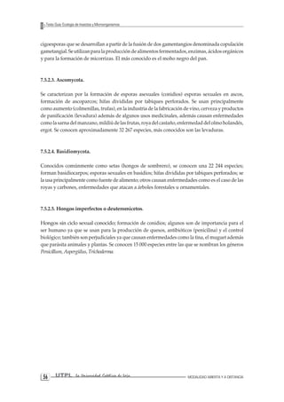 UTPL La Universidad Católica de Loja MODALIDAD ABIERTA Y A DISTANCIA 56 
Texto Guía: Ecología de Insectos y Microorganismos 
cigoesporas que se desarrollan a partir de la fusión de dos gamentangios denominada copulación gametangial. Se utilizan para la producción de alimentos fermentados, enzimas, ácidos orgánicos y para la formación de micorrizas. El más conocido es el moho negro del pan. 
7.5.2.3. Ascomycota. 
Se caracterizan por la formación de esporas asexuales (conidios) esporas sexuales en ascos, formación de ascoparcos; hifas divididas por tabiques perforados. Se usan principalmente como aumento (colmenillas, trufas), en la industria de la fabricación de vino, cerveza y productos de panificación (levadura) además de algunos usos medicinales, además causan enfermedades como la sarna del manzano, mildiú de las frutas, roya del castaño, enfermedad del olmo holandés, ergot. Se conocen aproximadamente 32 267 especies, más conocidos son las levaduras. 
7.5.2.4. Basidiomycota. 
Conocidos comúnmente como setas (hongos de sombrero), se conocen una 22 244 especies; forman basidiocarpos; esporas sexuales en basidios; hifas divididas por tabiques perforados; se la usa principalmente como fuente de alimento; otros causan enfermedades como es el caso de las royas y carbones, enfermedades que atacan a árboles forestales u ornamentales. 
7.5.2.5. Hongos imperfectos o deuteromicetos. 
Hongos sin ciclo sexual conocido; formación de conidios; algunos son de importancia para el ser humano ya que se usan para la producción de quesos, antibióticos (penicilina) y el control biológico; también son perjudiciales ya que causan enfermedades como la tina, el muguet además que parásita animales y plantas. Se conocen 15 000 especies entre las que se nombran los géneros Penicillum, Aspergülus, Tríchoderma.  