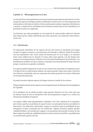 MODALIDAD ABIERTA Y A DISTANCIA La Universidad Católica de Loja UTPL 67 
Texto Guía: Ecología de Insectos y Microorganismos 
Capítulo 11. Microorganismos en el aire. 
La mayoría de los microorganismos carece de mecanismos especiales para permanecí en el aire, aunque las esporas de hongos pueden ser liberadas en forma activa. Le microorganismos del suelo pueden ser llevados en el polvo, la brisa marina puede contener organismos del plancton y neuston, y muchas de las actividades del ser humano acentúa estos al crear turbulencia y al perturbar el suelo y la vegetación. 
Las bacterias que están protegidas en una partícula de suelo pueden sobrevivir durante más tiempo que las células individuales que están expuestas a las radiaciones ultravioleta y al aire seco. 
11.1. Distribución. 
El componente microbiano de las esporas del aire del exterior es dominado por hongos excepto en lugares cercanos a concentraciones de animales y edificios, donde la: bacterias son mas importantes. Hay varios cientos de bacterias por m3 en el campo y er ocasiones hasta varios millares por m3 durante el verano sobre suelo agrícola. Los dos hongos más comunes son el deuteromiceto Cladosporium y la levadura basidiomiceto Sporobolomyces. Las basidiosporas también son muy comunes, no porque sean especialmente de larga vida sino porque se producen en grandes cantidades. 
Las esporas pueden dispersarse al azar en una extensa área si prevalece la turbulencia, pero si el flujo de aire es relativamente laminar, las esporas pueden viajar como nubes a través de una distancia considerable; cada una representa una fuente particular de inoculo o liberación en un momento particular. 
Se puede encontrar algunas esporas de hongos incluso en medio de los océanos. 
El largo desplazamiento de las esporas es muy importante para la diseminación de patógenos de vegetales. 
Si los patógenos de las plantas pueden viajar grandes distancias no hay razón para que las mismas masas de aire no transporten otros microorganismos, aunque no se cuenta con información detallada al respecto. 
Las esporas viables están principalmente confinadas a los 6 Km. inferiores de la troposfera, pero incluso aquí hay un problema de supervivencia. Los principales factores son también la desecación y las radiaciones ultravioleta, aunque en ocasiones existe la posibilidad de que fotoreparen el daño ocasionado por las radiaciones. Algunas bacterias también pierden viabilidad debido a la toxicidad por oxígeno y un mecanismo desconocido (el factor de aire libre) origina la pérdida de viabilidad durante la noche; el factor de aire libre es posiblemente un contaminante químico del aire.  