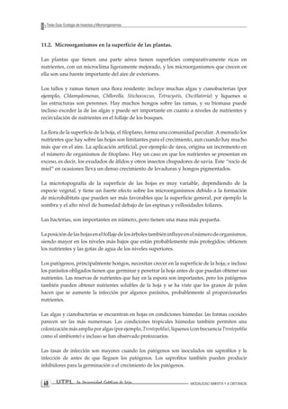 UTPL La Universidad Católica de Loja MODALIDAD ABIERTA Y A DISTANCIA 68 
Texto Guía: Ecología de Insectos y Microorganismos 
11.2. Microorganismos en la superficie de las plantas. 
Las plantas que tienen una parte aérea tienen superficies comparativamente ricas en nutrientes, con un microclima ligeramente mejorado, y los microorganismos que crecen en ella son una fuente importante del aire de exteriores. 
Los tallos y ramas tienen una flora residente: incluye muchas algas y cianobacterias (por ejemplo, Chlamydomonas, Chllorella, Stichococcus, Tetracystis, Oscitlatoria) y liquenes si las estructuras son perennes. Hay muchos hongos sobre las ramas, y su biomasa puede incluso exceder la de las algas y puede ser importante en cuanto a niveles de nutrientes y recirculación de nutrientes en el follaje de los bosques. 
La flora de la superficie de la hoja, el filoplano, forma una comunidad peculiar. A menudo los nutrientes que hay sobre las hojas son limitantes para el crecimiento, aun cuando hay mucho más que en el aire. La aplicación artificial, por ejemplo de úrea, origina un incremento en el número de organismos de fitoplano. Hay un caso en que los nutrientes se presentan en exceso, es decir, los exudados de áfidos y otros insectos chupadores de savia. Este “rocío de miel” en ocasiones lleva un denso crecimiento de levaduras y hongos pigmentados. 
La microtopografía de la superficie de las hojas es muy variable, dependiendo de la especie vegetal, y tiene un fuerte efecto sobre los microorganismos debido a la formación de microhábitats que pueden ser más favorables que la superficie general, por ejemplo la sombra y el alto nivel de humedad debajo de las espinas y vellosidades foliares. 
Las bacterias, son importantes en número, pero tienen una masa más pequeña. 
La posición de las hojas en el follaje de los árboles también influye en el número de organismos, siendo mayor en los niveles más bajos que están probablemente más protegidos; obtienen los nutrientes y las gotas de agua de los niveles superiores. 
Los patógenos, principalmente hongos, necesitan crecer en la superficie de la hoja; e incluso los parásitos obligados tienen que germinar y penetrar la hoja antes de que puedan obtener sus nutrientes. Las reservas de nutrientes que hay en la espora son importantes, pero los patógenos también pueden obtener nutrientes solubles de la hoja y se ha viste que los granos de polen hacen que se aumente la infección por algunos parásitos, probablemente al proporcionarles nutrientes. 
Las algas y cianobacterias se encuentran en hojas en condiciones húmedas: las formas cocoides parecen ser las más numerosas. Las condiciones tropicales húmedas también permiten una colonización más amplia por algas (por ejemplo, Trentepohlia), líquenes (con frecuencia Trentepohlia como el simbionte) e incluso se han observado protozoarios. 
Las tasas de infección son mayores cuando los patógenos son inoculados sin saprofitos y la infección de antes de que lleguen los patógenos. Los saprofitos también pueden producir inhibidores para la germinación o el crecimiento de los patógenos.  