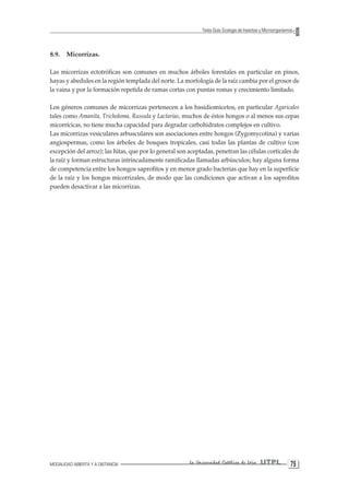 MODALIDAD ABIERTA Y A DISTANCIA La Universidad Católica de Loja UTPL 75 
Texto Guía: Ecología de Insectos y Microorganismos 
8.9. Micorrizas. 
Las micorrizas ectotróficas son comunes en muchos árboles forestales en particular en pinos, hayas y abedules en la región templada del norte. La morfología de la raíz cambia por el grosor de la vaina y por la formación repetida de ramas cortas con puntas romas y crecimiento limitado. 
Los géneros comunes de micorrizas pertenecen a los basidiomicetos, en particular Agaricales tales como Amanita, Tricholoma, Russula y Lactarias, muchos de éstos hongos o al menos sus cepas micorrícicas, no tiene mucha capacidad para degradar carbohidratos complejos en cultivo. 
Las micorrizas vesiculares arbusculares son asociaciones entre hongos (Zygomycotina) y varias angiospermas, como los árboles de bosques tropicales, casi todas las plantas de cultivo (con excepción del arroz); las hitas, que por lo general son aceptadas, penetran las células corticales de la raíz y forman estructuras intrincadamente ramificadas llamadas arbúsculos; hay alguna forma de competencia entre los hongos saprofitos y en menor grado bacterias que hay en la superficie de la raíz y los hongos micorrizales, de modo que las condiciones que activan a los saprofitos pueden desactivar a las micorrizas.  