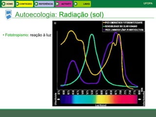 HOME    CONTEÚDO   REFERÊNCIA   ACTIVITY   LINKS   UFOPA



         Autoecologia: Radiação (sol)

• Fototropismo: reação à luz
 