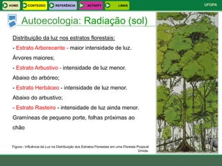 HOME       CONTEÚDO          REFERÊNCIA            ACTIVITY            LINKS                   UFOPA



       Autoecologia: Radiação (sol)
 Distribuição da luz nos estratos florestais:
 - Estrato Arborecente - maior intensidade de luz.
 Árvores maiores;
 - Estrato Arbustivo - intensidade de luz menor.
 Abaixo do arbóreo;
 - Estrato Herbáceo - intensidade de luz menor.
 Abaixo do arbustivo;
 - Estrato Rasteiro - intensidade de luz ainda menor.
 Gramíneas de pequeno porte, folhas próximas ao
 chão


 Figura - Influência da Luz na Distribuição dos Estratos Florestais em uma Floresta Propical
                                                                                     Úmida.
 