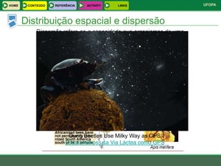 HOME    CONTEÚDO   REFERÊNCIA   ACTIVITY   LINKS               UFOPA



       Distribuição espacial e dispersão




                         Dung Beetles Use Milky Way as GPS
                        Escaravelhos usa Via Láctea como GPS
 