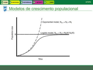 HOME    CONTEÚDO   REFERÊNCIA   ACTIVITY   LINKS   UFOPA



       Modelos de crescimento populacional
 