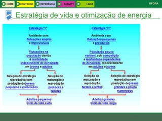 HOME    CONTEÚDO   REFERÊNCIA   ACTIVITY   LINKS   UFOPA



       Estratégia de vida e otimização de energia
 