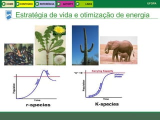 HOME    CONTEÚDO   REFERÊNCIA   ACTIVITY   LINKS   UFOPA



       Estratégia de vida e otimização de energia
 
