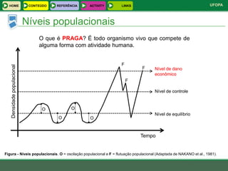 HOME                       CONTEÚDO   REFERÊNCIA   ACTIVITY     LINKS                                              UFOPA



                            Níveis populacionais
                                 O que é PRAGA? É todo organismo vivo que compete de
                                 alguma forma com atividade humana.


                                                                  F
   Densidade populacional




                                                                              F      Nível de dano
                                                                                     econômico
                                                                      F

                                                                                     Nível de controle



                                  O            O
                                                                                     Nível de equilíbrio
                                        O            O



                                                                             Tempo


Figura - Níveis populacionais. O = oscilação populacional e F = flutuação populacional (Adaptada de NAKANO et al., 1981).
 