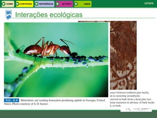 HOME    CONTEÚDO    REFERÊNCIA       ACTIVITY                                LINKS                                UFOPA



       Interações ecológicas
                                         Benefício
                                         da Sp A
                                                                    +
                    Predação
                    Parasitismo




                                                              Comensalismo
                    Parasitoidismo                                                    Mutualismo
       Se existe interação, esta pode ser determinada
                    Herbivoria
                                      ++
        em função+do benefício (positivo ou negativo)
                    -
            - que cada um tira desta interação. +                                    Comensalismo

                      Amensalismo
                                                                                                      Benefício
                                                                                     Predação         da Sp B
                                                                                     Parasitismo
                                                Amensalismo

                   Competição                                                        Parasitoidismo
                                                                                     Herbivoria
                       --
                                                                                          +-

                                                              -
 