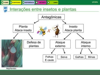 HOME    CONTEÚDO   REFERÊNCIA   ACTIVITY     LINKS                           UFOPA



       Interações entre insetos e plantas
                                  Antagônicas

             Planta                                        Inseto
          Ataca inseto                                  Ataca planta


 Planta              Defesa de                   Ataque            Ataque
carnívora             plantas                    externo           interno


                                       Folhas        Seiva     Galhas   Minas
                                       E caule


 Nephentes
 