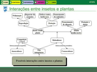 HOME    CONTEÚDO   REFERÊNCIA   ACTIVITY   LINKS   UFOPA



       Interações entre insetos e plantas
 
