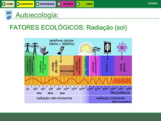 HOME    CONTEÚDO   REFERÊNCIA   ACTIVITY   LINKS   UFOPA



       Autoecologia:
 FATORES ECOLÓGICOS: Radiação (sol)
 