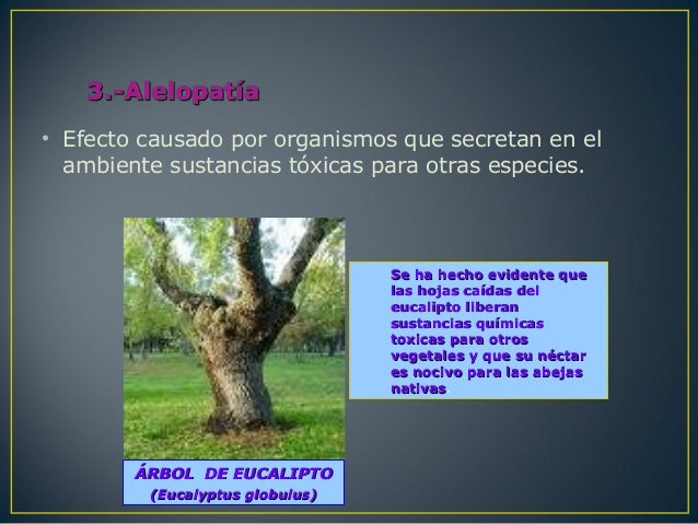Resultado de imagen para ecologia de poblaciones