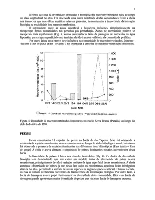 7
O efeito da cheia na diversidade, densidade e biomassa dos macroinvertebrados varia ao longo
do eixo longitudinal dos rios. Foi observada uma maior resistência destas comunidades frente a cheia
nos transectos que macrófitas aquáticas estavam presentes, demonstrando a importância da interação
biológica na estabilidade dos macroinvertebrados.
O intercâmbio entre as águas superficial e hiporrêica influencia significativamente na
recuperação destas comunidades nos períodos pós perturbação. Zonas de intercâmbio positivo se
recuperam mais rapidamente (Fig. 5), como conseqüência tanto da passagem de nutrientes da água
hiporrêica para a água superficial como também devido à maior resiliência da comunidade perifítica.
Por outro lado a seca exerce forte influência na comunidade de macroinvertebrados. Somente
durante a fase de poças (Fase "Secando") foi observada a presença de macroinvertebrados bentônicos.
Figura 5: Densidade de macroinvertebrados bentônicos no riacho Serra Branca (Paraíba) ao longo do
ciclo hidrolóico de 1996.
PEIXES
Foram encontradas 16 espécies de peixes na bacia do rio Taperoá. Não foi observada a
existência de espécies dominantes nestes ecossistemas ao longo do ciclo hidrológico anual, entretanto
foi observada a presença de espécies dominantes nas diferentes fases hidrológicas (Fase úmida e Fase
de poças). A cheia e a seca alteram a composição de peixes dominantes nos rios intermitentes desta
bacia.
A diversidade de peixes é baixa nos rios do Semi-Árido (Fig. 6). Os dados de diversidade
biológica tem demonstrado que não existe um modelo único de diversidade de peixes nestes
ecossistemas, principalmente devido à variação no fluxo de água superficial destes ecossistemas. A cheia
aumenta a diversidade de peixes, já que nesta fase todos os ecossistemas aquáticos ficam interligados
através dos rios, permitindo a entrada de novas espécies na região (espécies exóticas). Durante a cheia,
os rios se tornam verdadeiros corredores de transferência de informação biológica. Por outro lado, a
bacia de drenagem exerce papel fundamental na diversidade desta comunidade. Rios com bacia de
drenagem grande apresentam maior diversidade de peixes que rios com bacia de drenagem pequena.
 