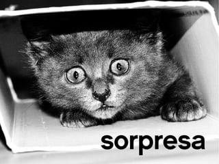 Ecologia di Powerpoint e dei suoi simili