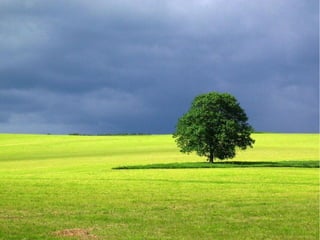 Ecologia di Powerpoint e dei suoi simili